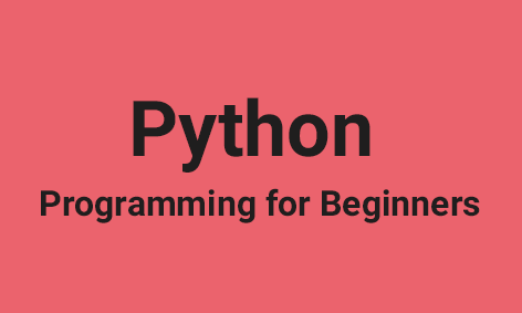 <strong>Beginners Python for Middle & High School </strong>