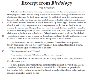 Pre-AP English Course Unit 4: Powerful Openings Practice Test