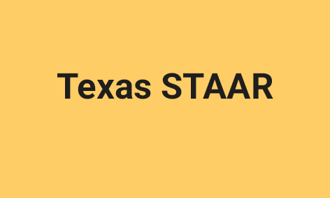 <strong>The Texas STAAR Assessment</strong>